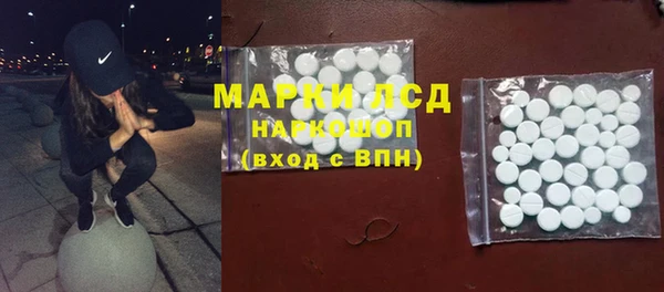 стафф Аркадак