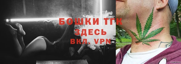 экстази Арсеньев