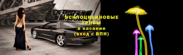 ешки Алексин