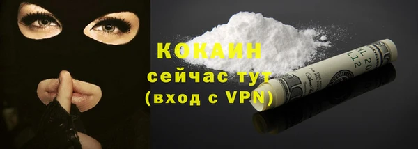 стафф Аркадак