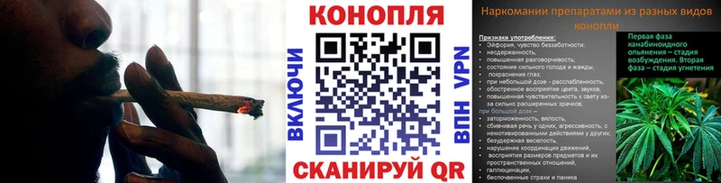 Марихуана сатива сколько стоит Луза